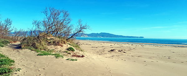Sant Pere Pescador